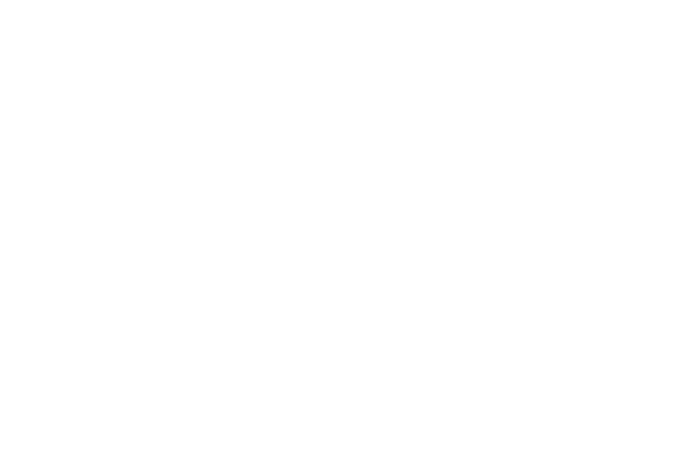 Meander Valley Pork Logo